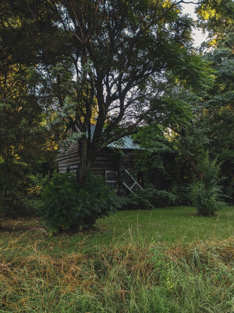 Ready to Sell Your Alamo House Without the Stress